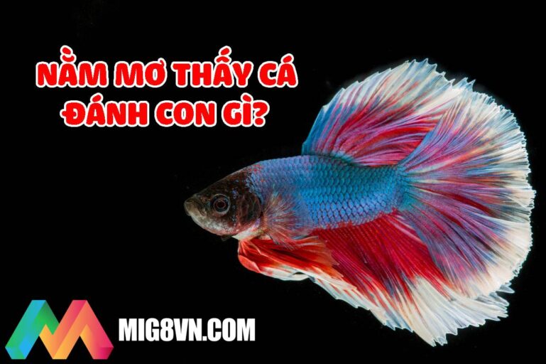 Nằm mơ thấy cá