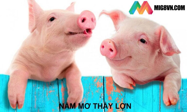 Mơ thấy heo (lợn
