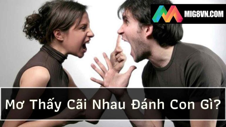 Nằm mơ thấy cãi nhau