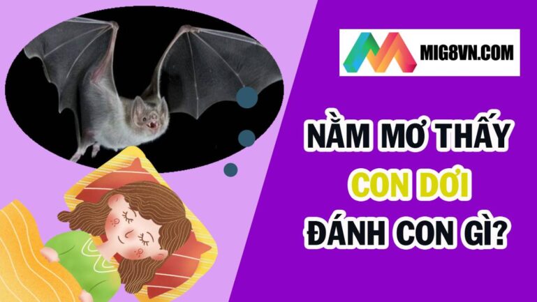 Nằm mơ thấy dơi đánh con gì?