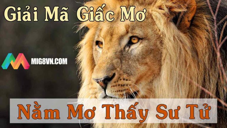 Nằm mơ thấy sư tử