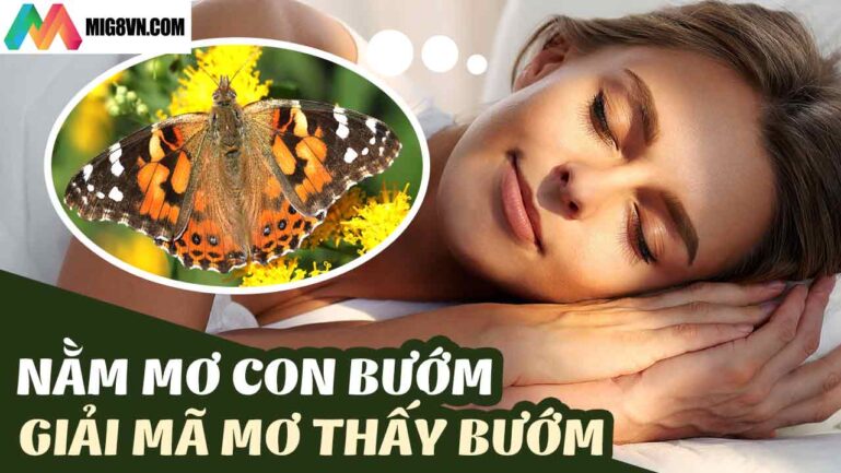 Nằm mơ thấy bươm bướm