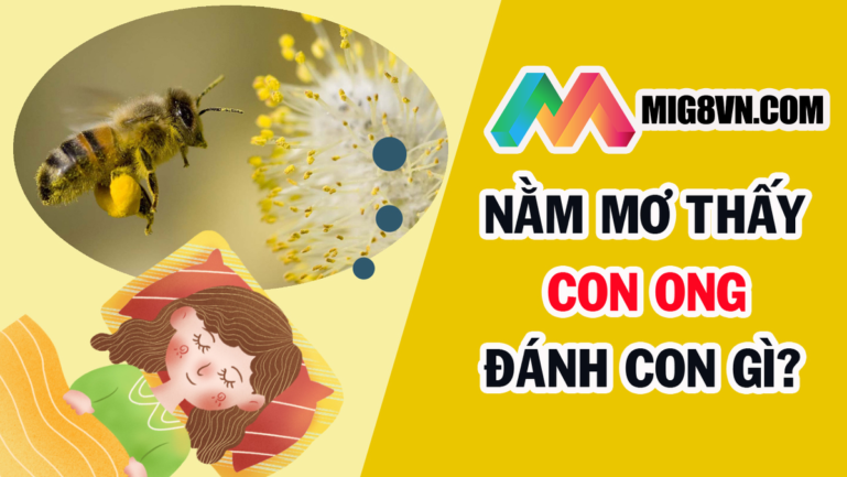 Nằm mơ thấy con ong đánh con gì