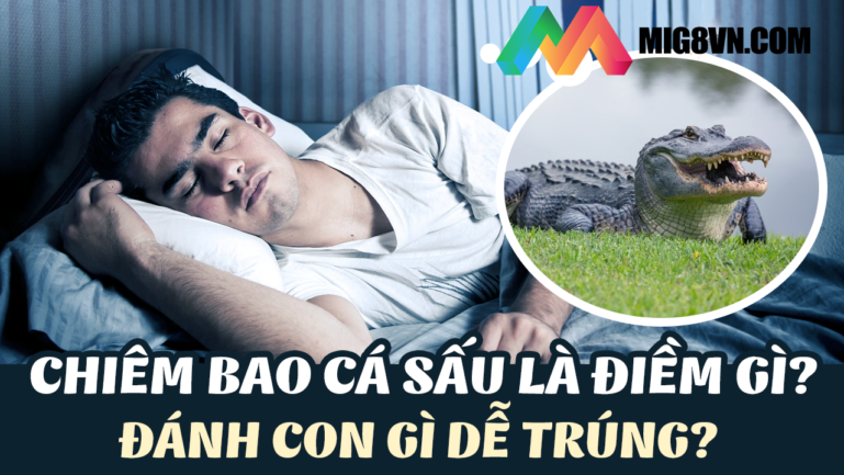 Mơ thấy cá sấu