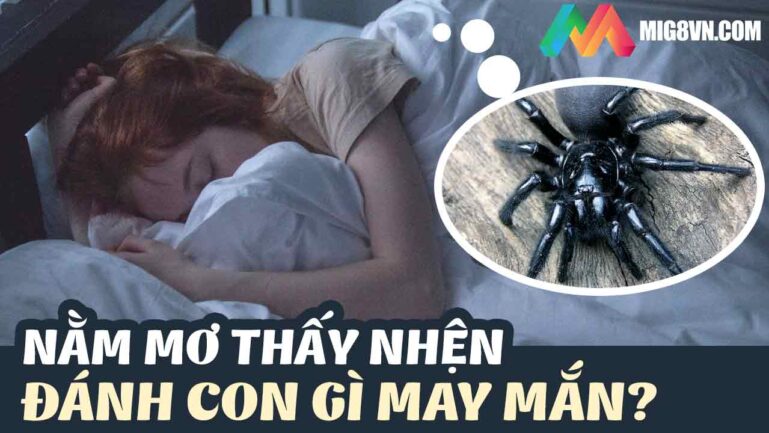Mơ thấy nhện