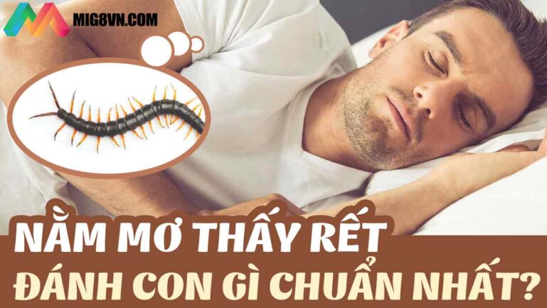 Mơ thấy rết đánh con gì