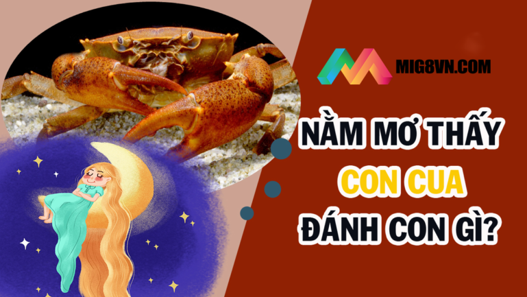 Nằm mơ thấy cua