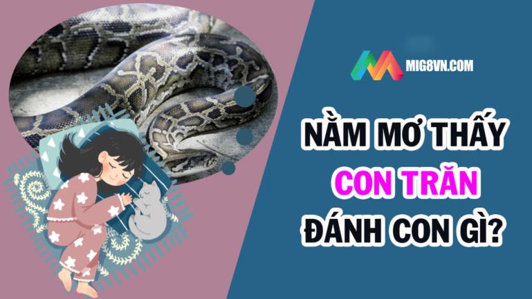 Mơ thấy trăn