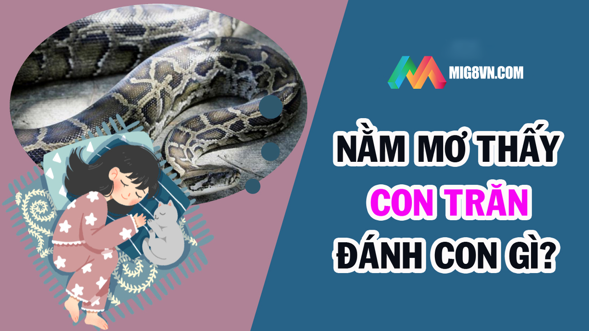 Mơ thấy trăn