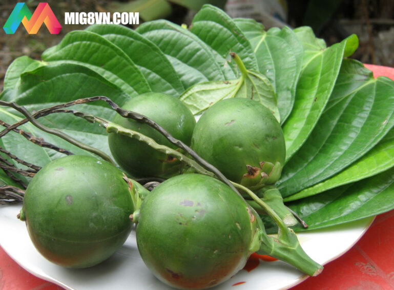 Mơ buồng cau