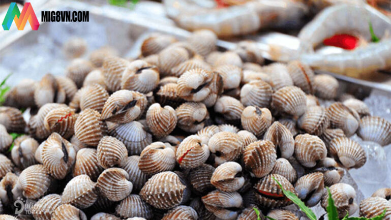 Nằm mơ thấy con sò