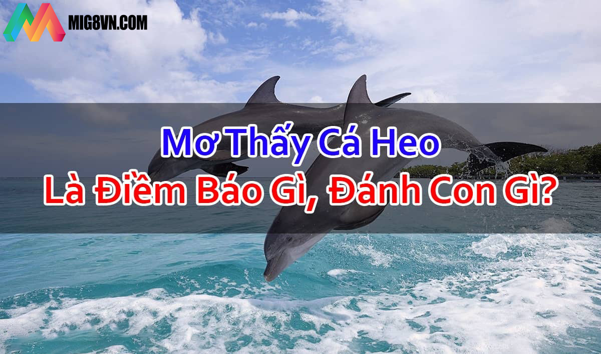 Nằm mơ thấy cá heo
