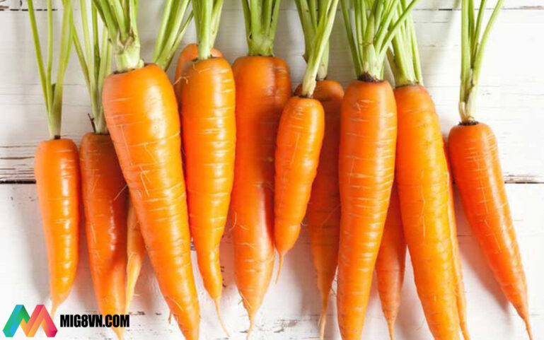 Nằm mơ thấy cà rốt