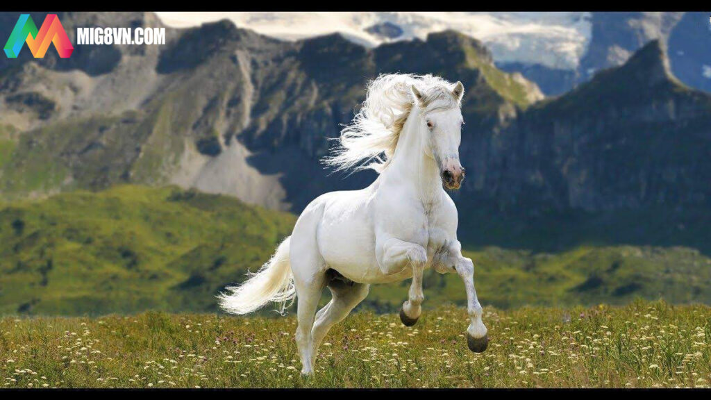 Nằm mơ thấy cưỡi ngựa