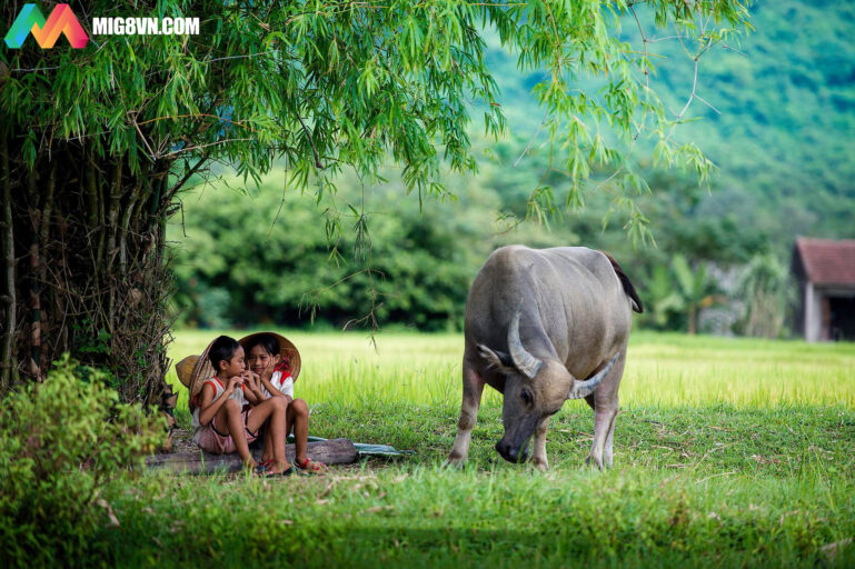 Mơ thấy quê hương